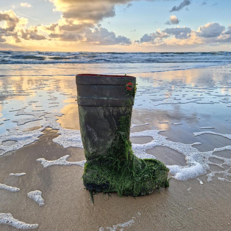 Nordseeperle Dirkshorn Nordholland, Mit Klimaanlage Und Sauna Exteriér fotografie